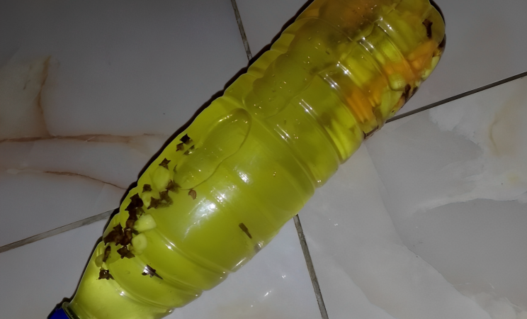 DIY Herbal Combo Drink: Your Guide to Natural Support for Infection & Fertility